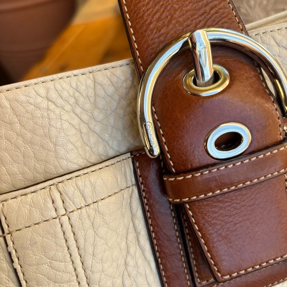 Coach No.C0849-F12303 Caryall Satchel